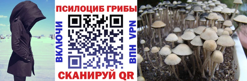 Галлюциногенные грибы Magic Shrooms  Каргат 